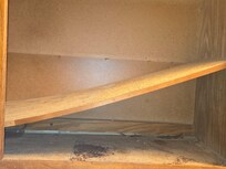 Buggy eggs on cabinets