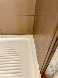 Skimmelsvamp, og skidt over alt