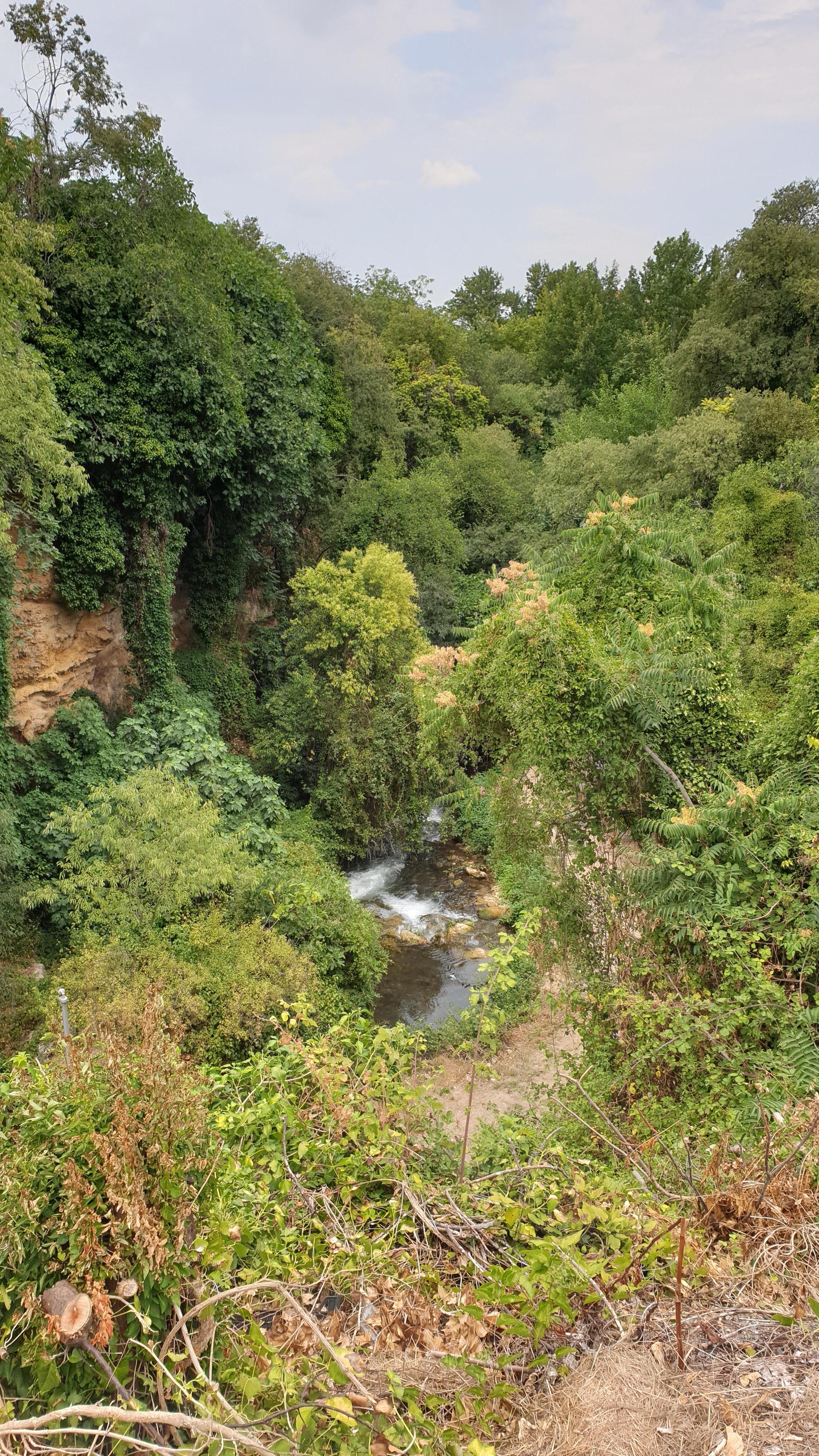 River near Hotel