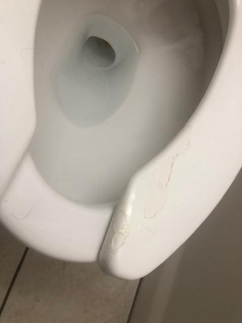 Toilet seat needs replacing