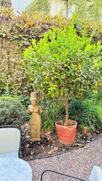 Lovely patio where you can enjoy breakfast or just a respite