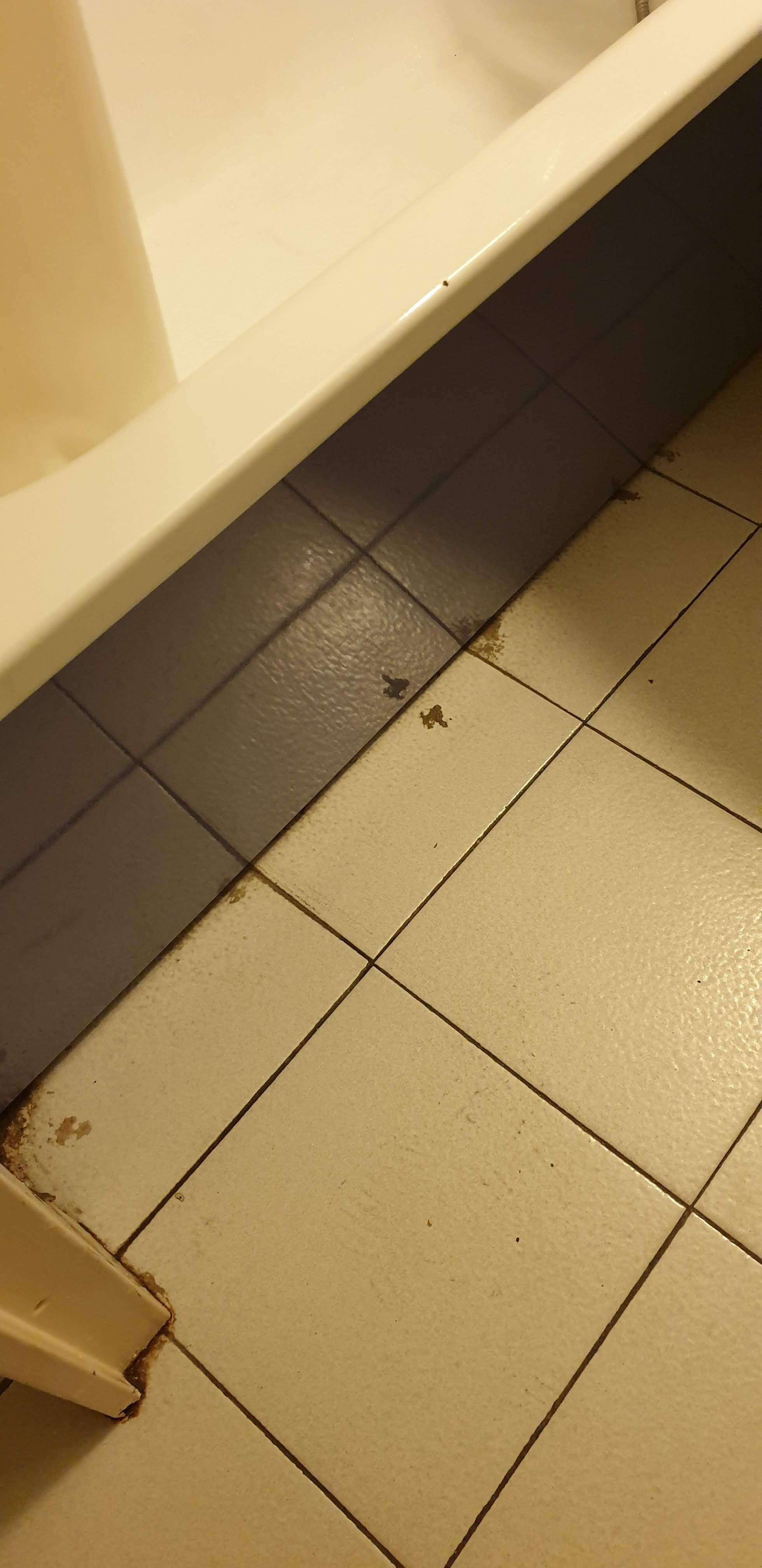 Why does a room that costs $220 a night need to have broken tiles?