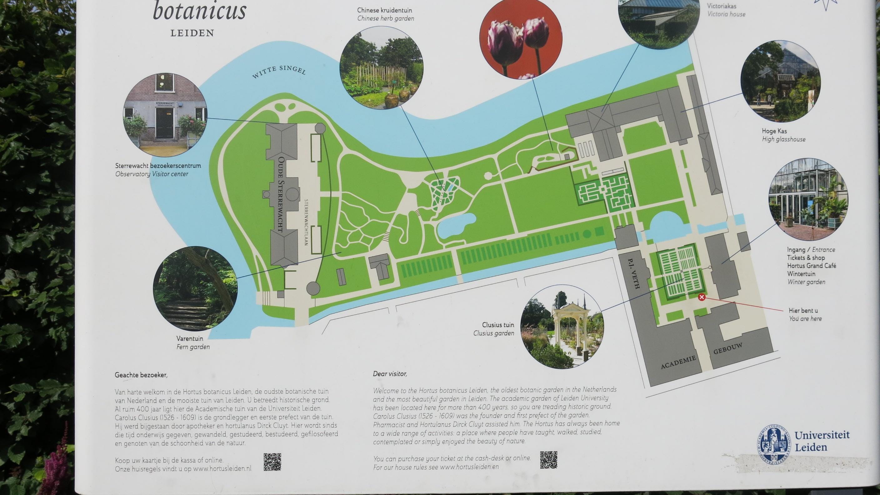 ライデン大学植物園の地図