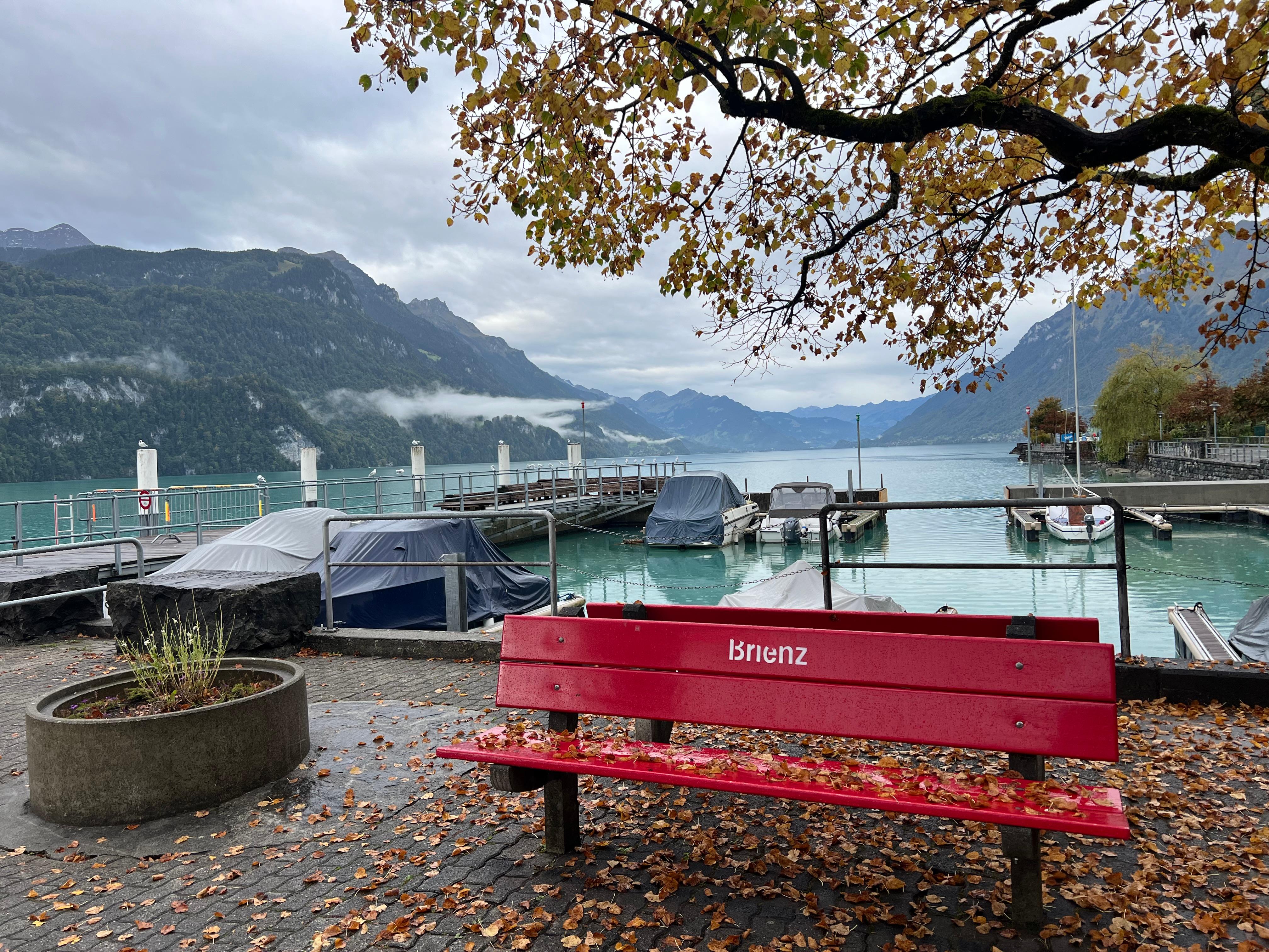 Lake Brienze has a lovely place to walk