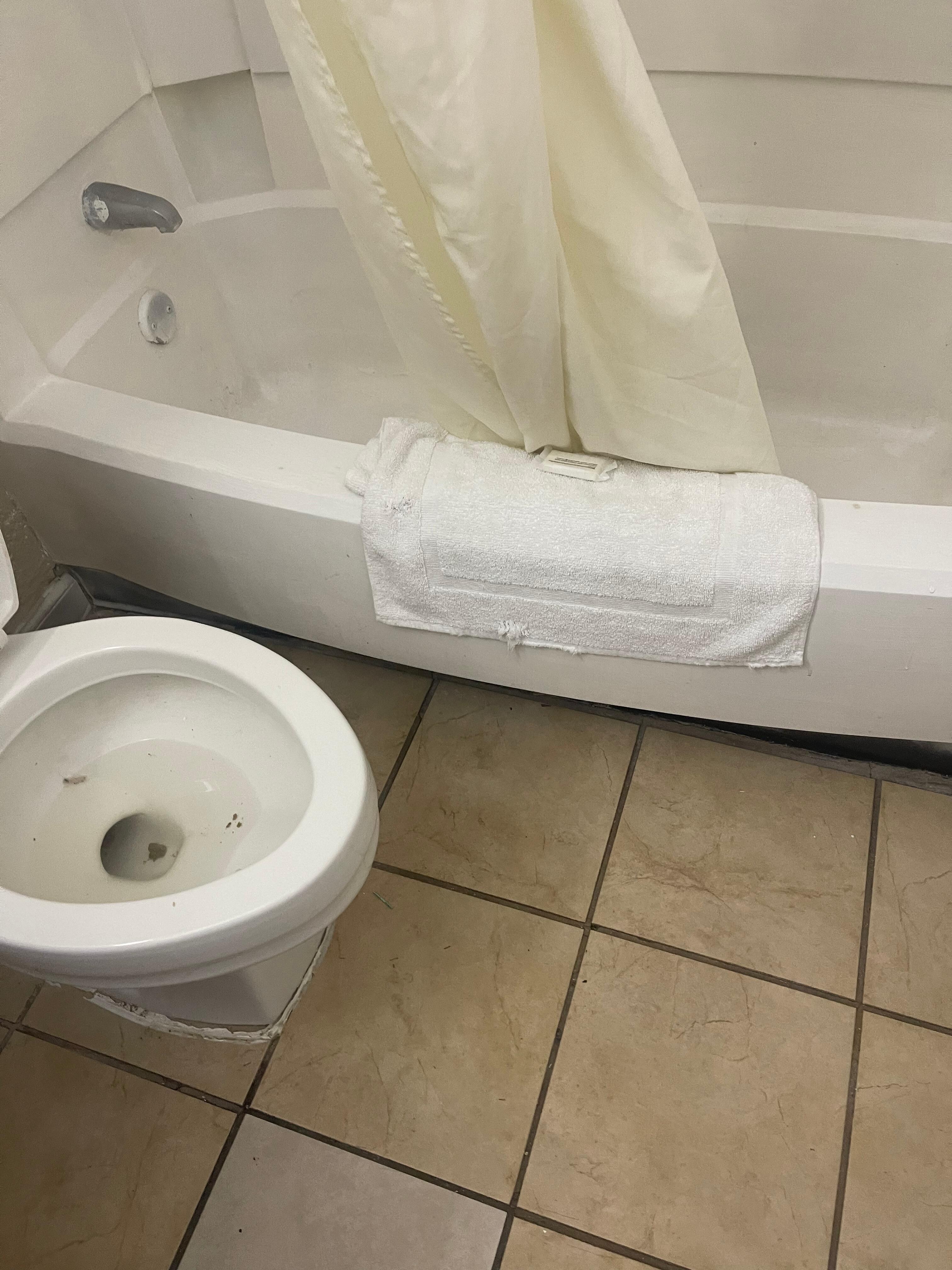 Dirty tub and brown stuff floating in the toilet.