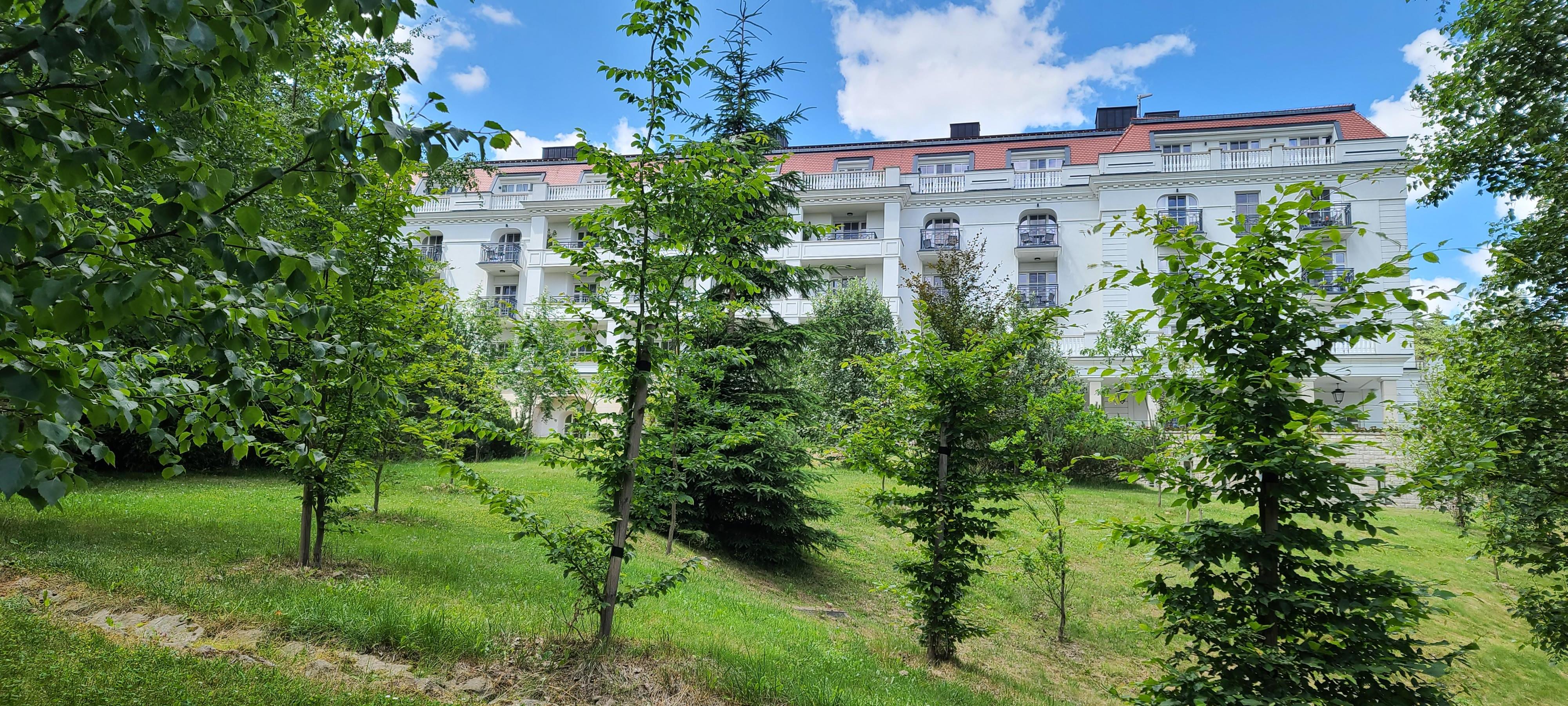 View of the hotel from the park