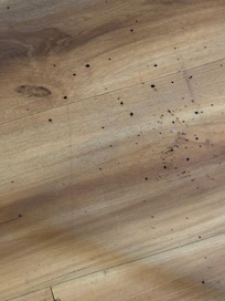 Dried blood on the floor.