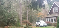 A different cottage view