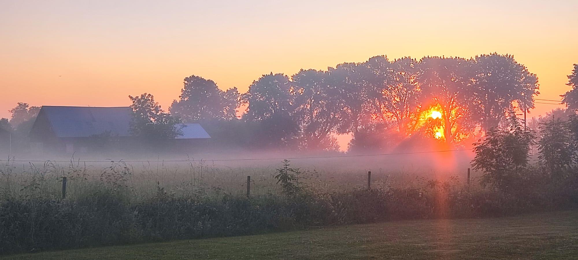 Utsikt från stugan tidig morgon