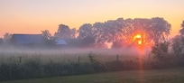 Utsikt från stugan tidig morgon