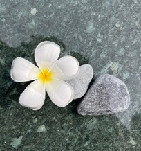 Nydelige blomster i Hagen