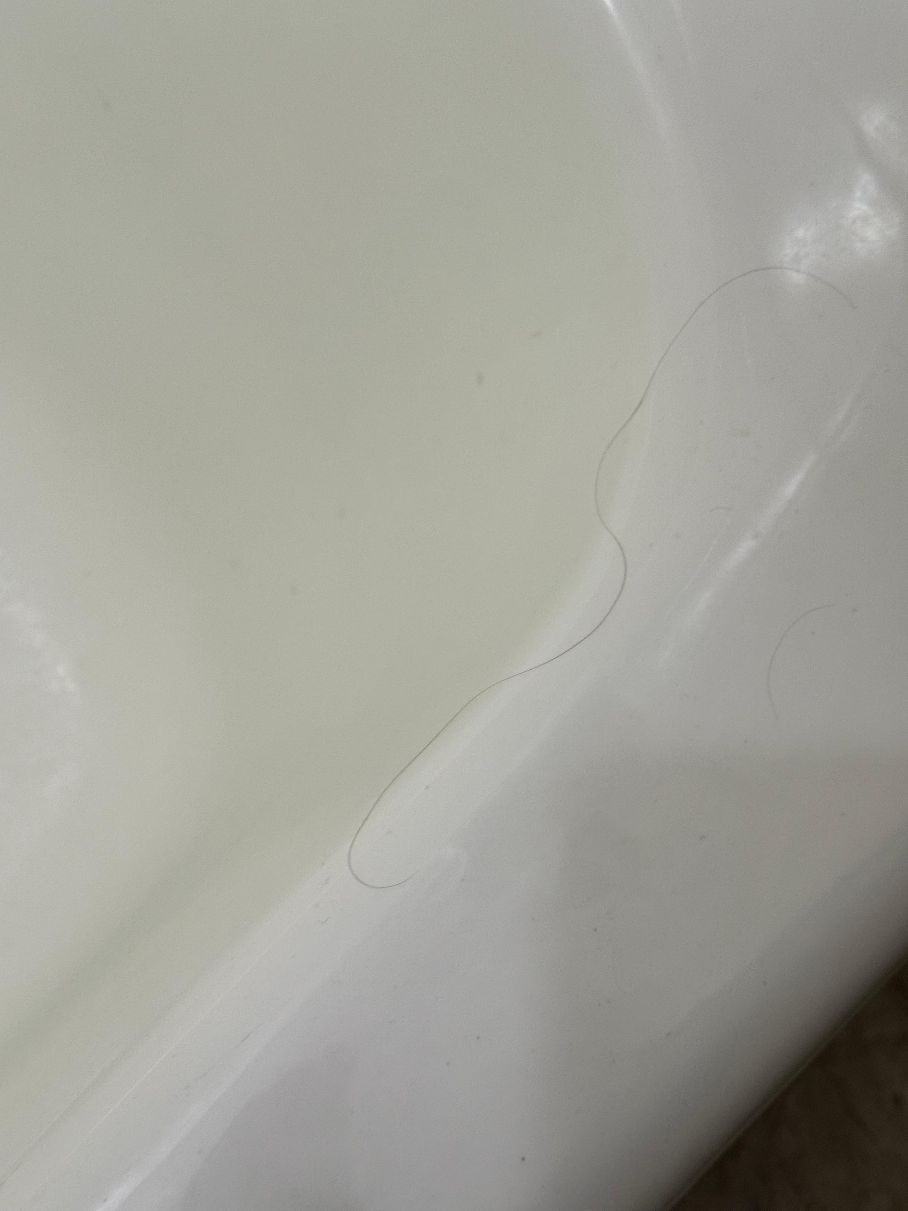 Hair in bathtub which was in more
Spots than this