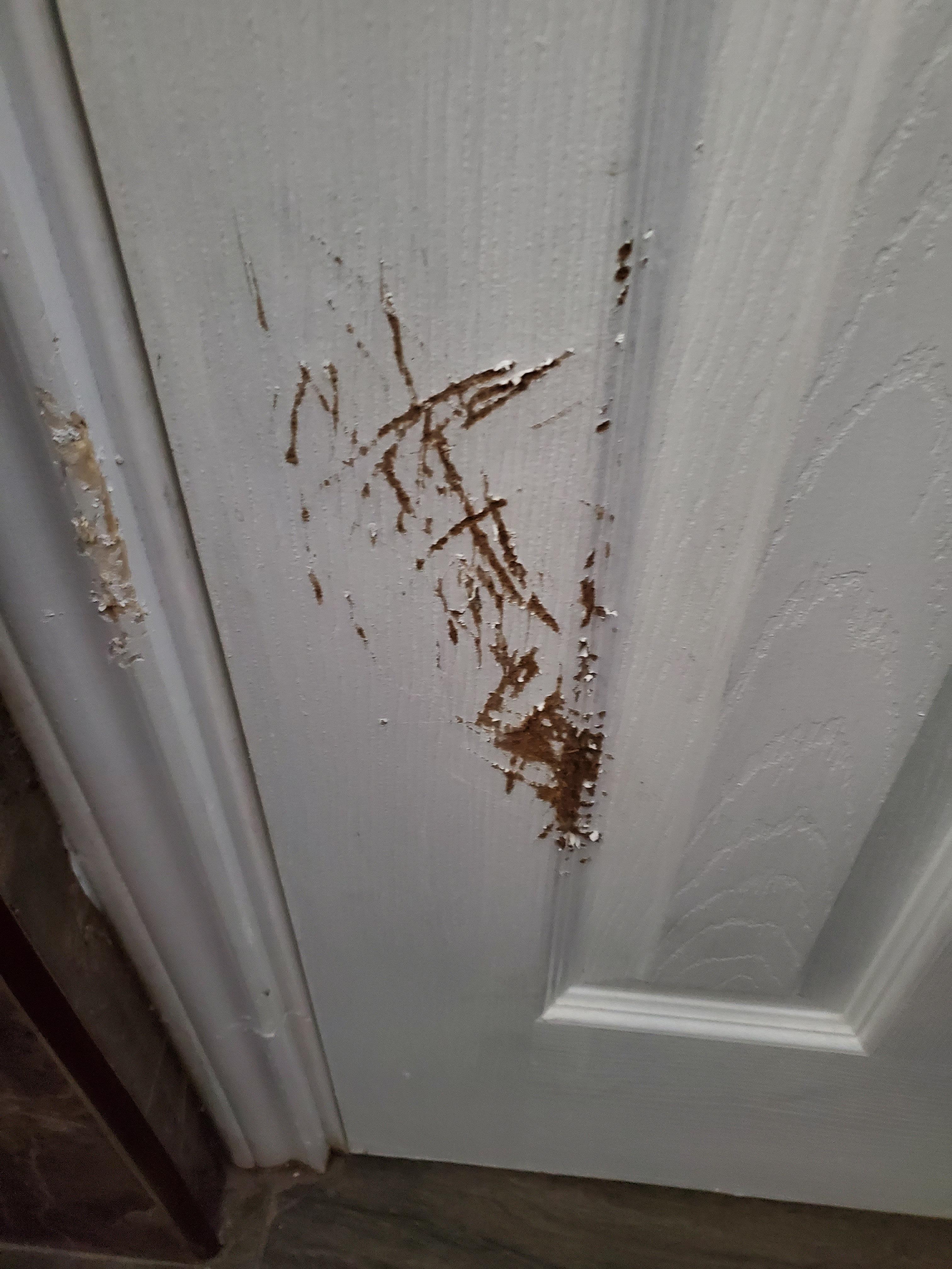 Door was all scratched inside of the restroom.