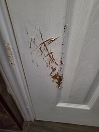 Door was all scratched inside of the restroom.