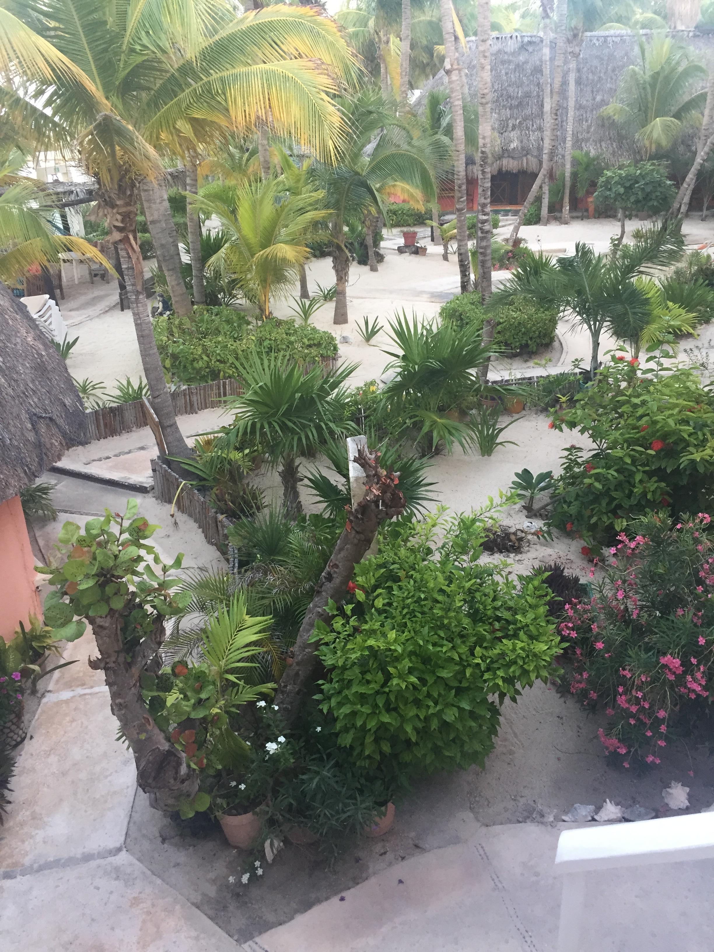 Courtyard