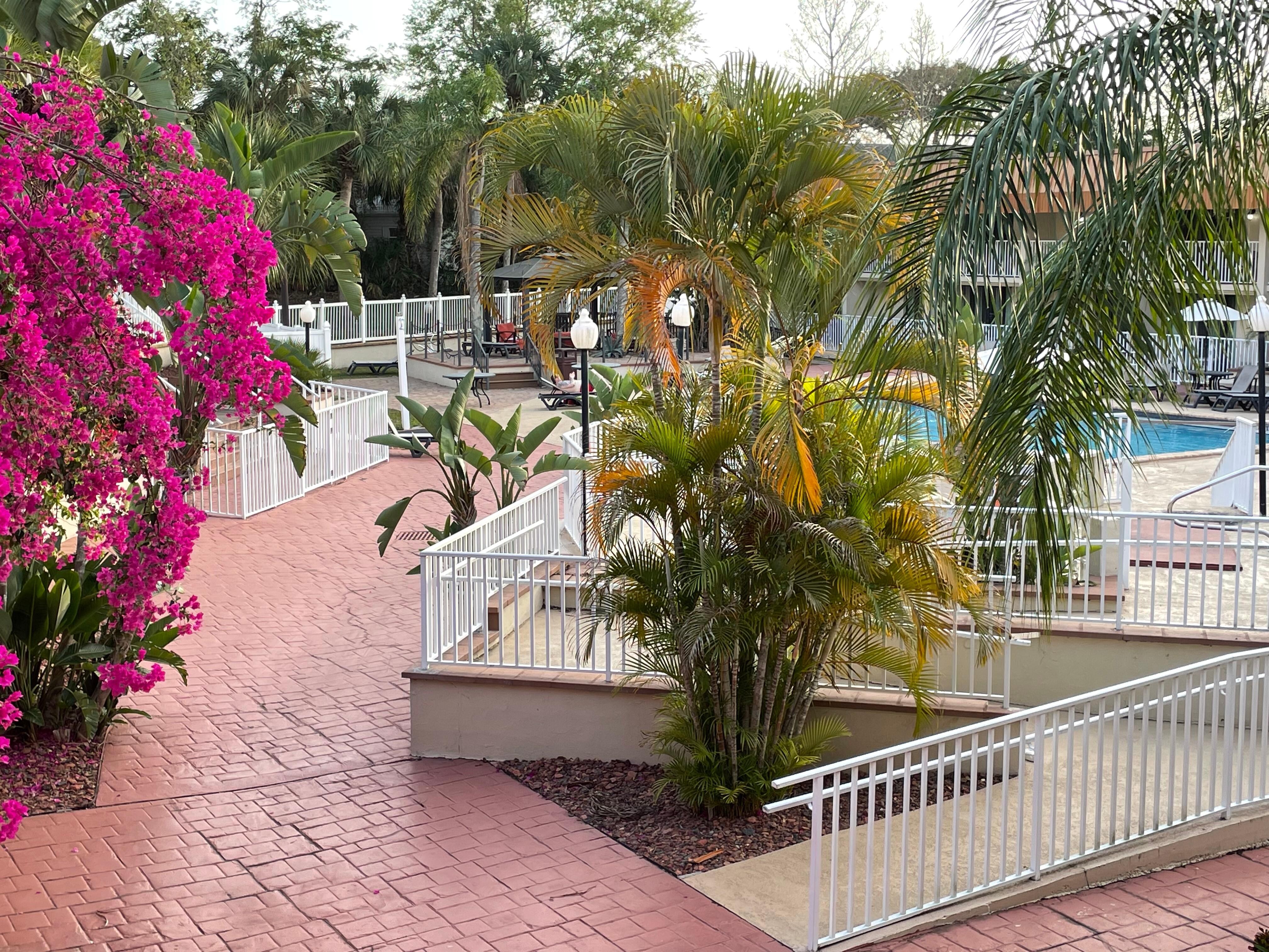 The view from our balcony