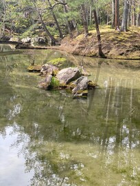 Deze mostemple was onze favoriet