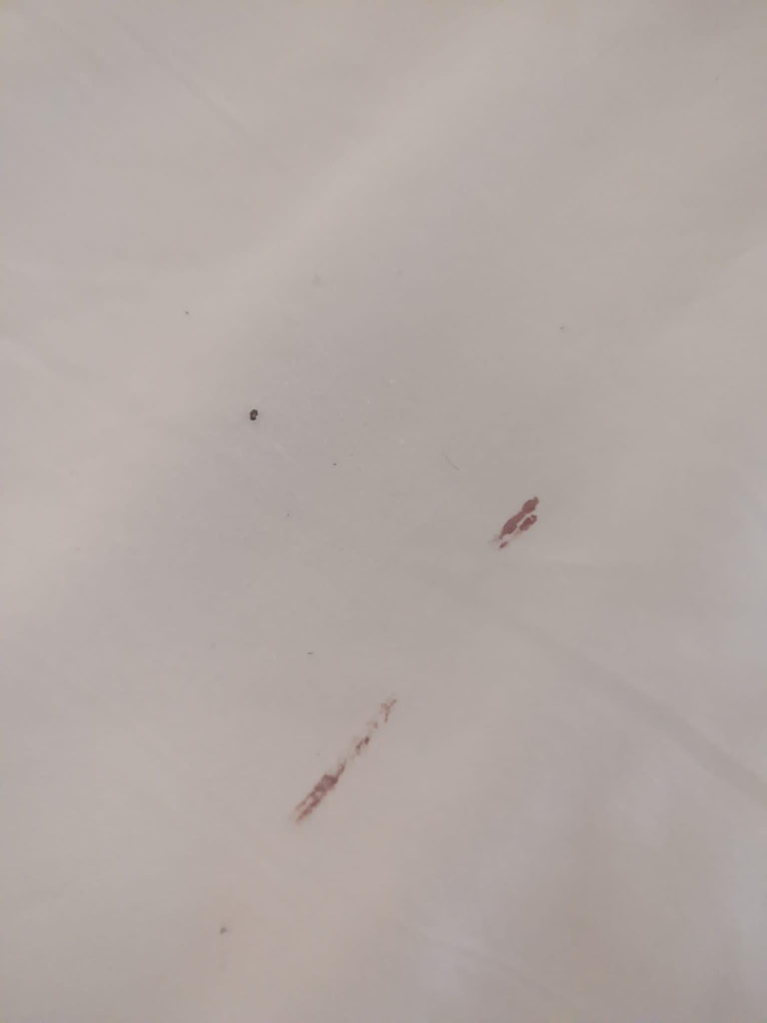 Bed bug blood-stained bed sheeets at Cormoran Hotel, Tulum