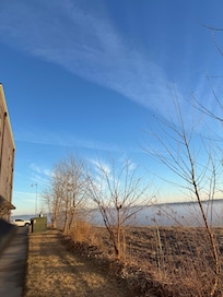 Nice groomed puppy area.