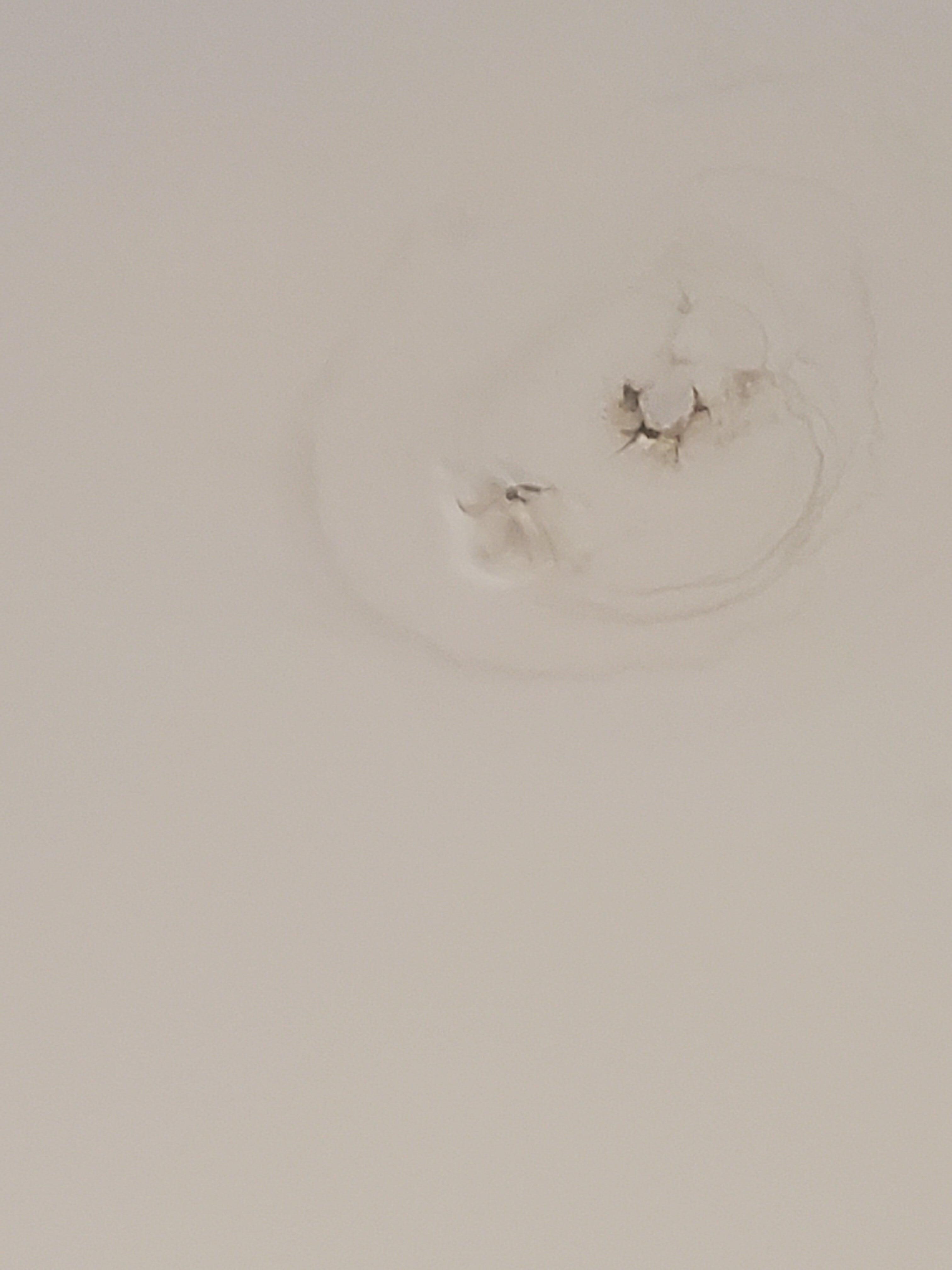 Hole in the ceiling.. previous was a leakage from the rain.