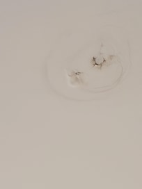 Hole in the ceiling.. previous was a leakage from the rain.