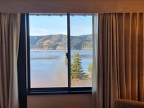 Lakeview from the room