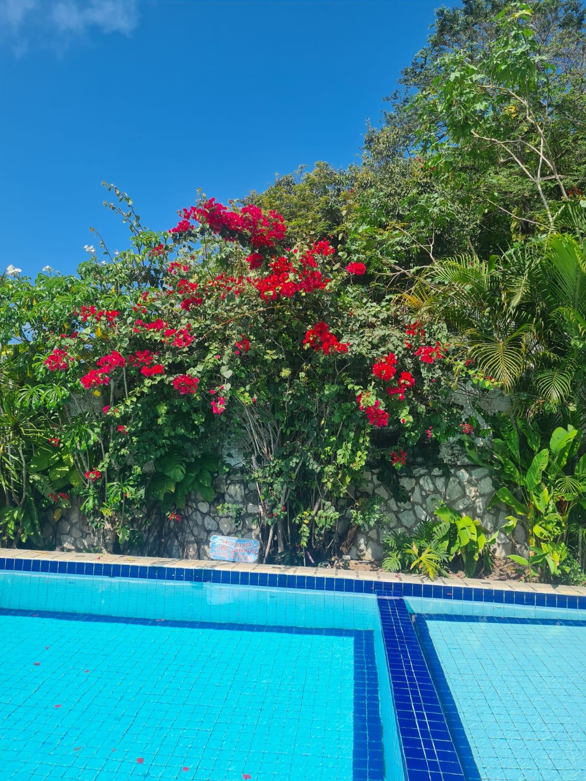 Vista da piscina