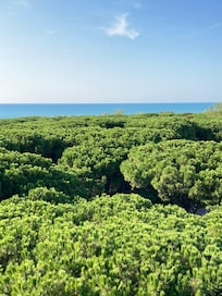 La vista dal rooftop vale il soggiorno.