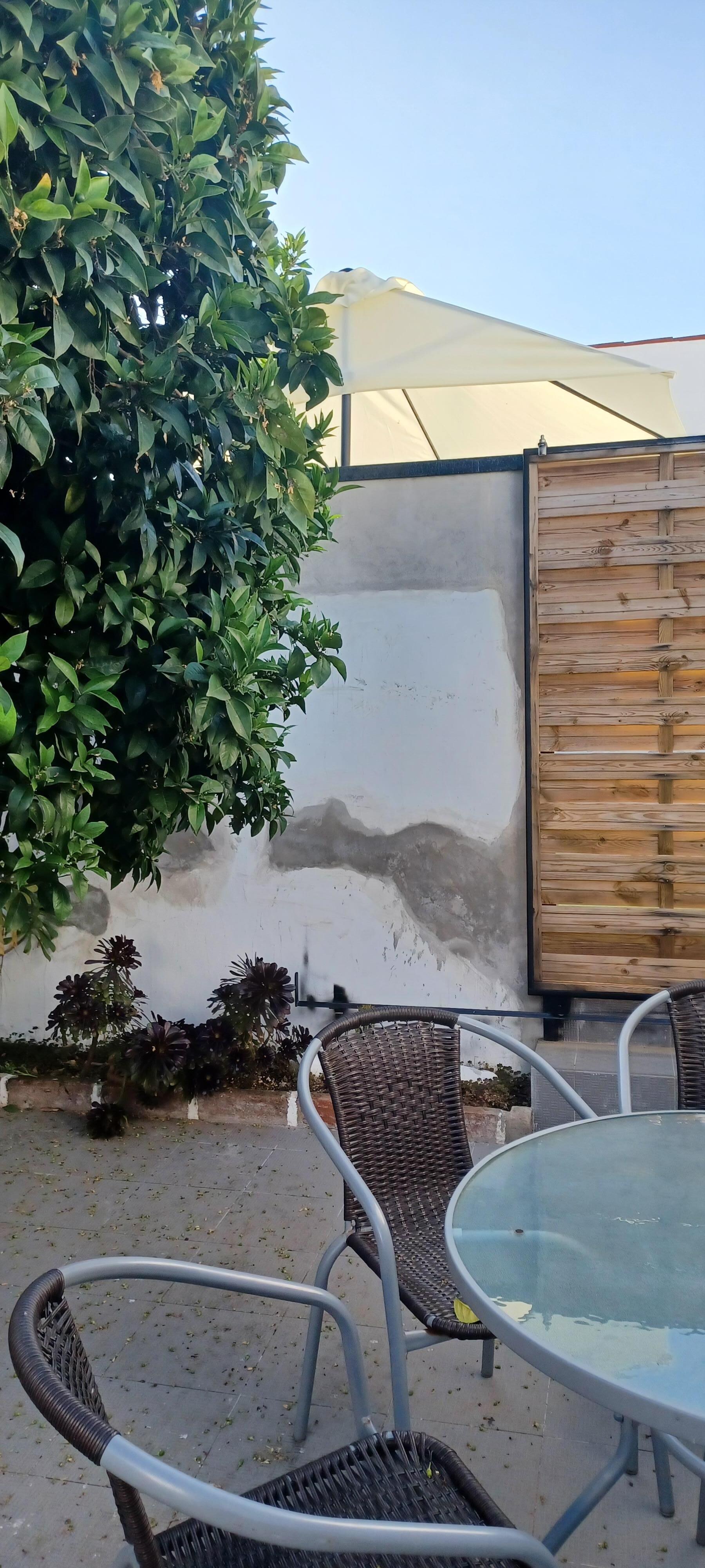 Jardim