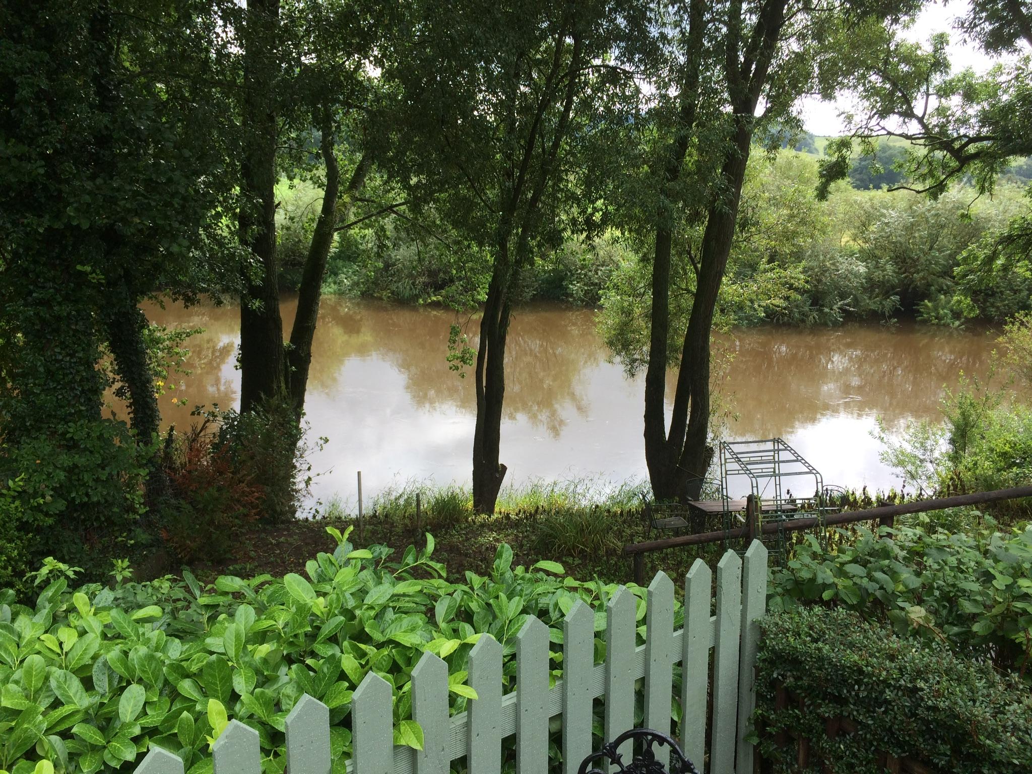 View from the patio area at the accommodation 