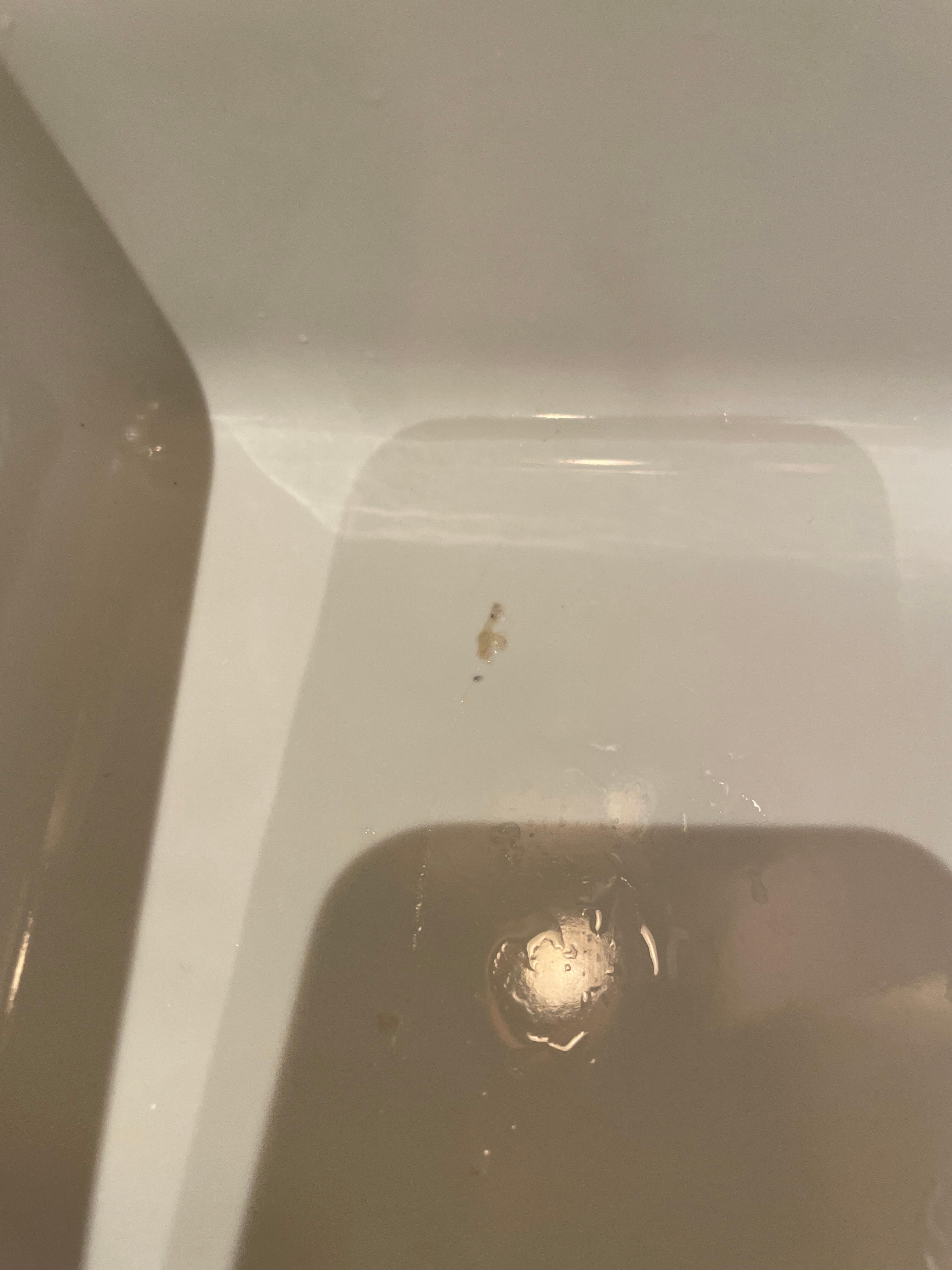 Bugger in the sink
