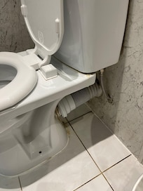 Putzen sollte man auch unter dem Spülkasten und hinterm Klo…