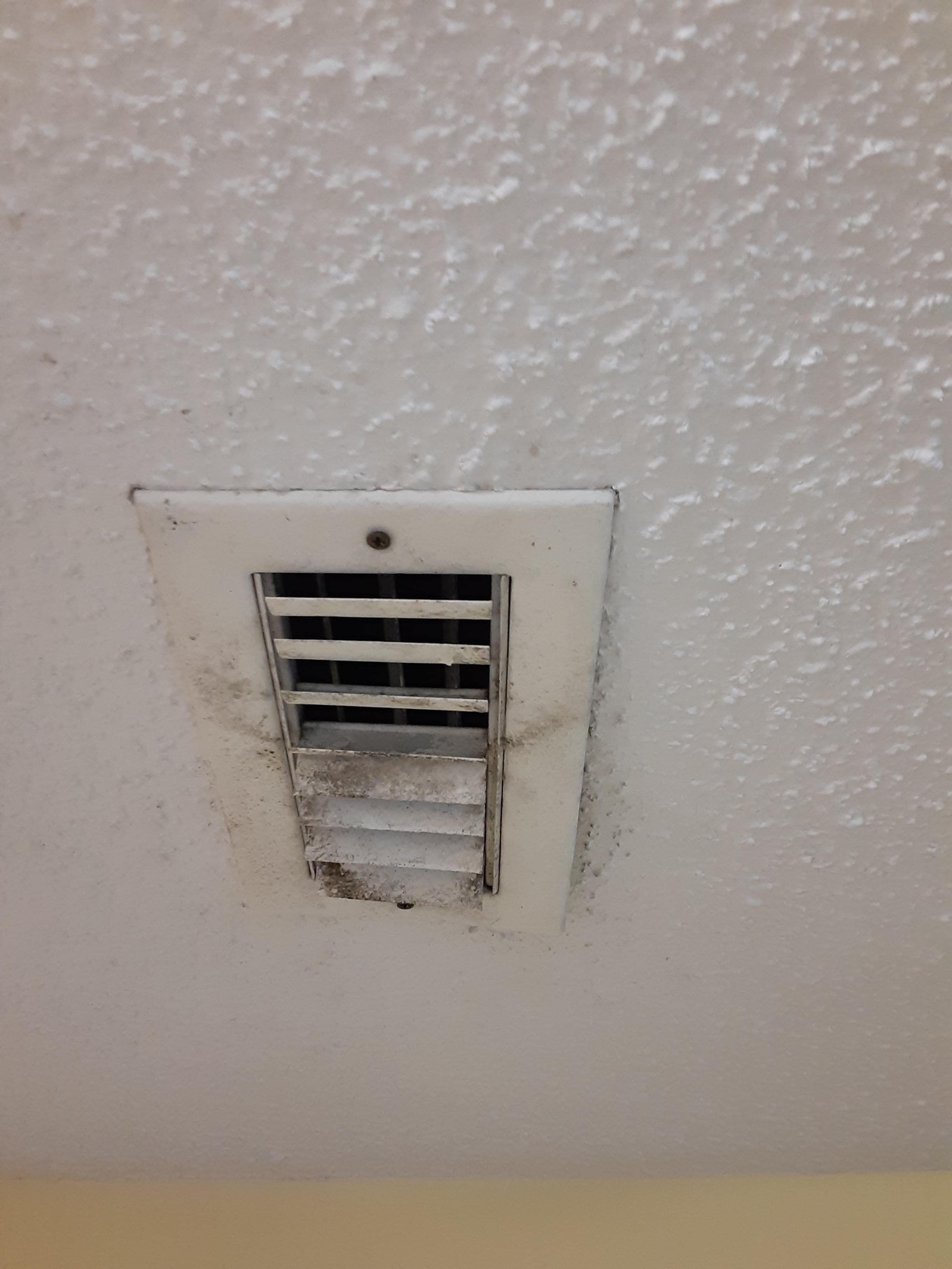 Mold🤮😒