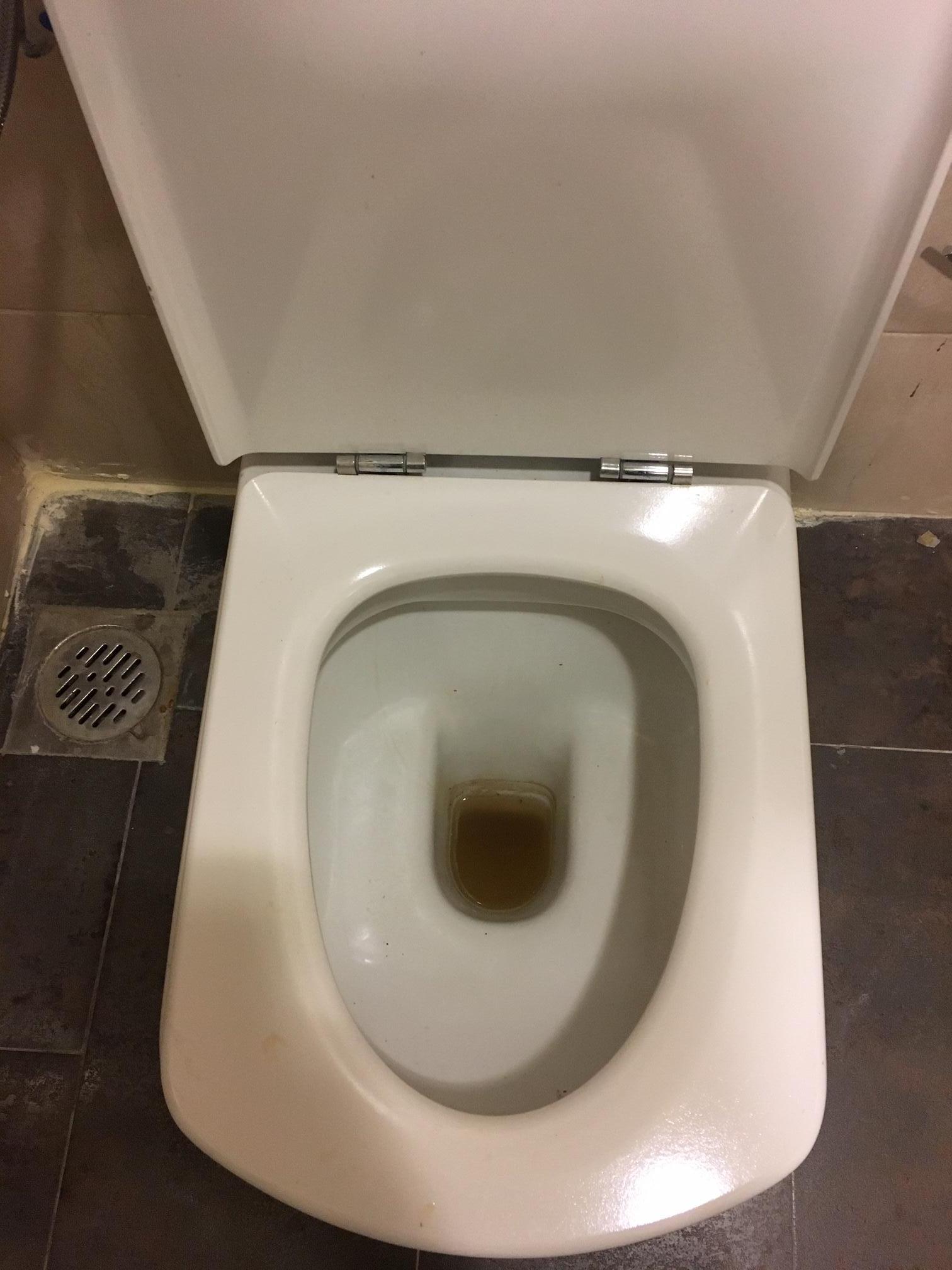 Dirty Toilet