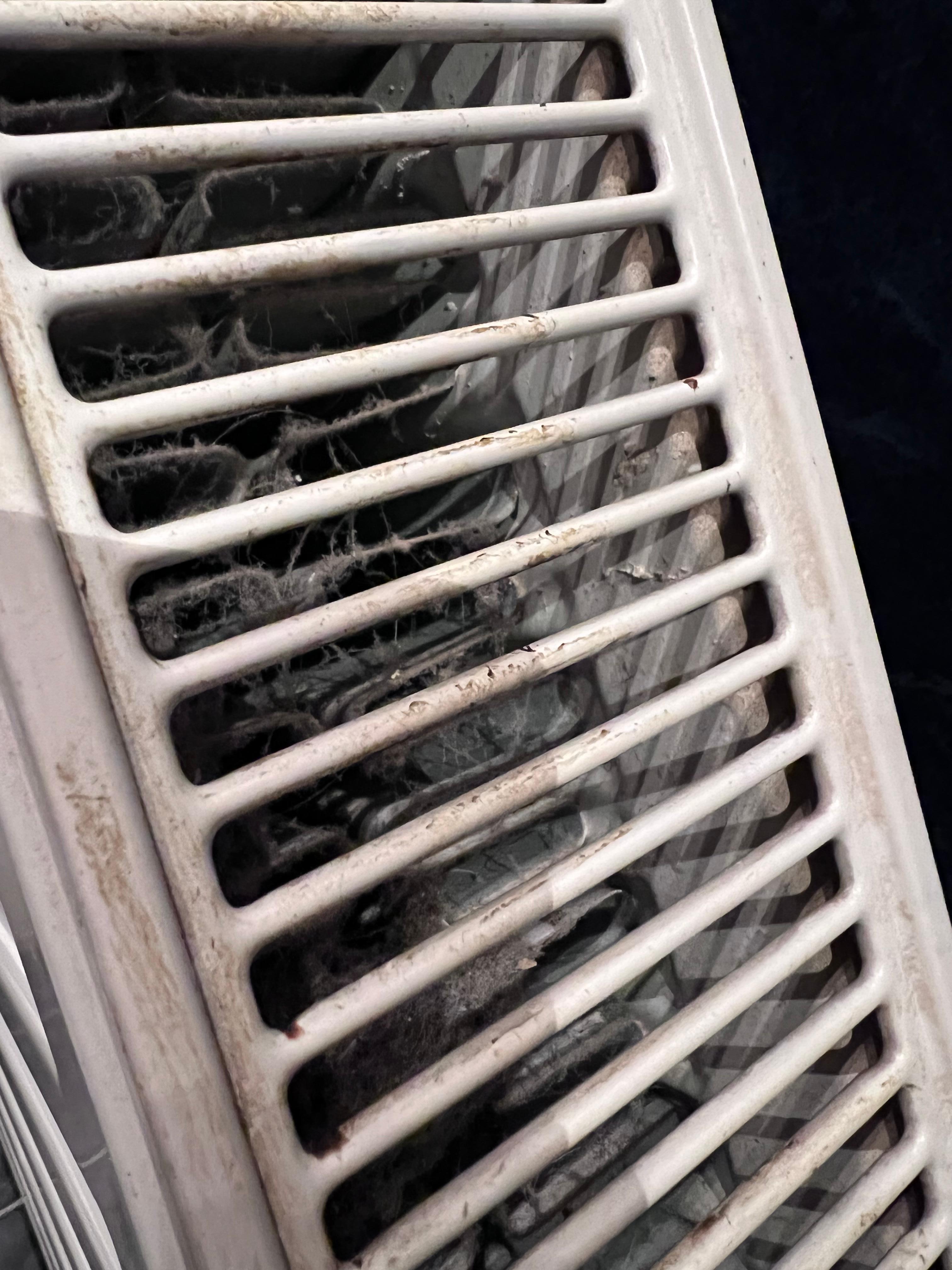 Radiator in bathroom collecting lots of dust