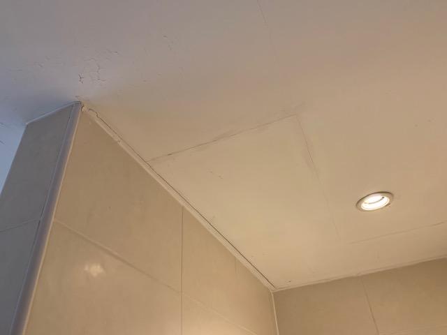 Bathroom ceiling