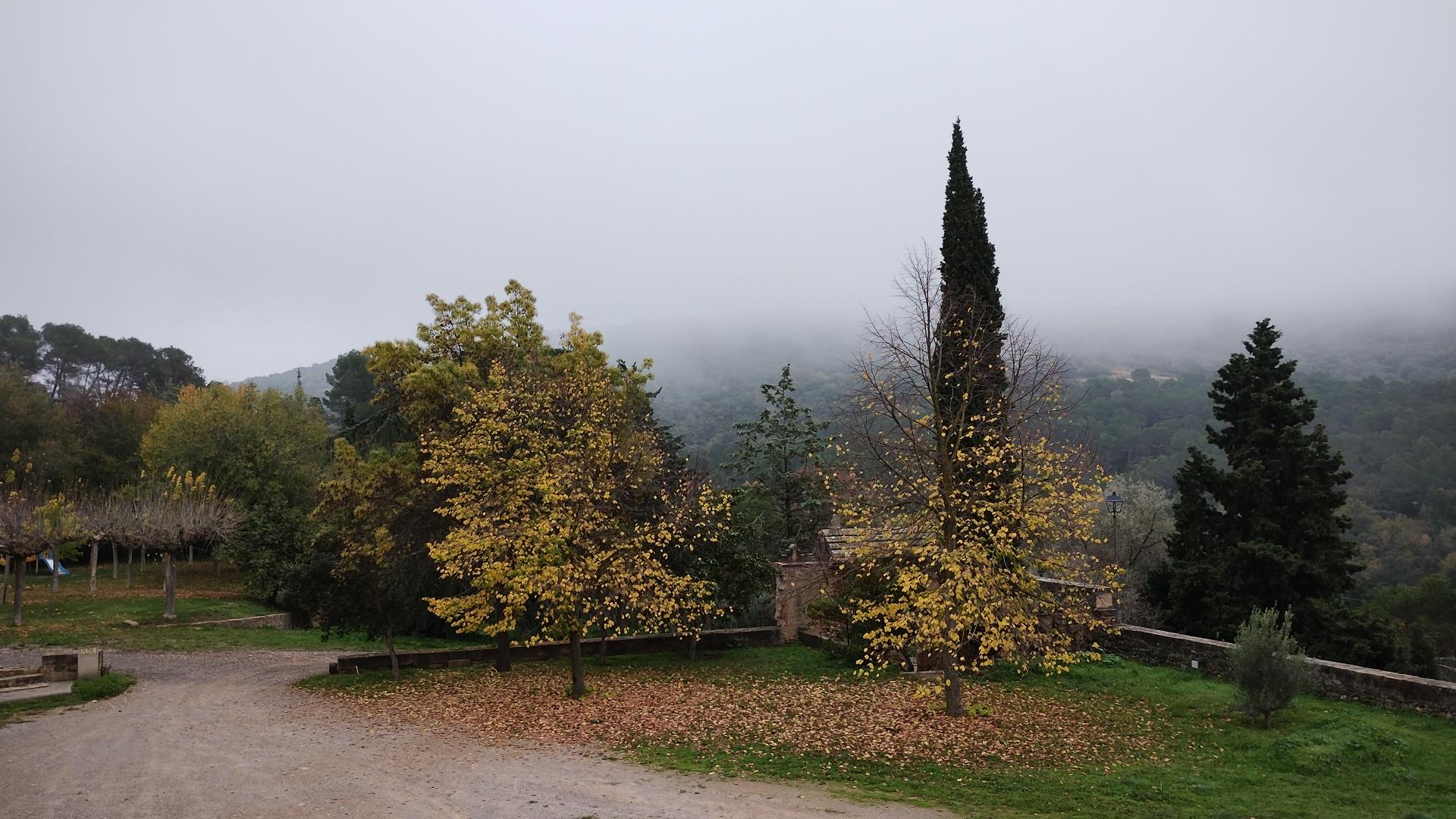 Un día otoñal con niebla desde la ventana de la habitacion