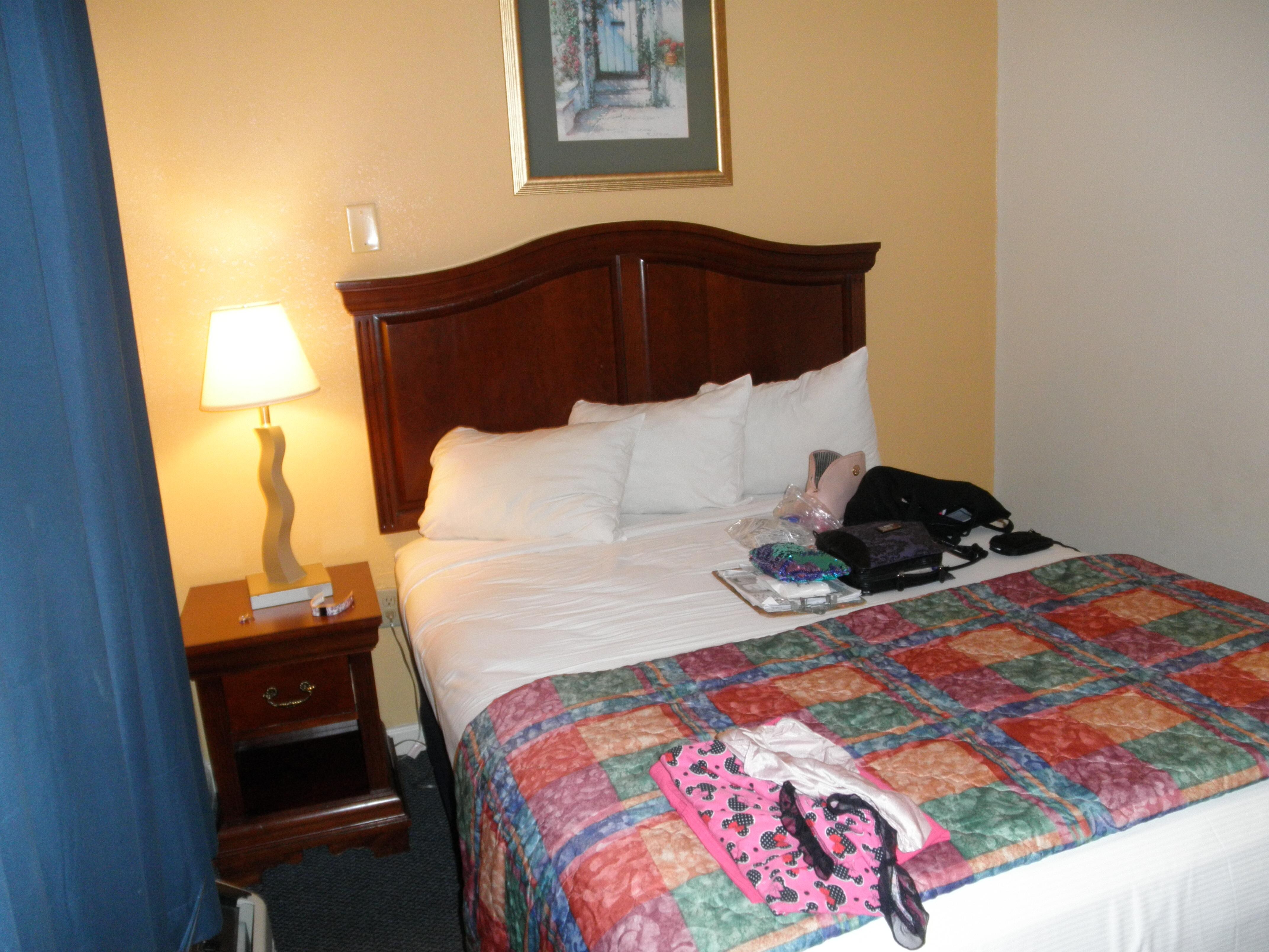 Christmas Inn Pigeon Tn Bed Bugs Smart4K Design Ideas