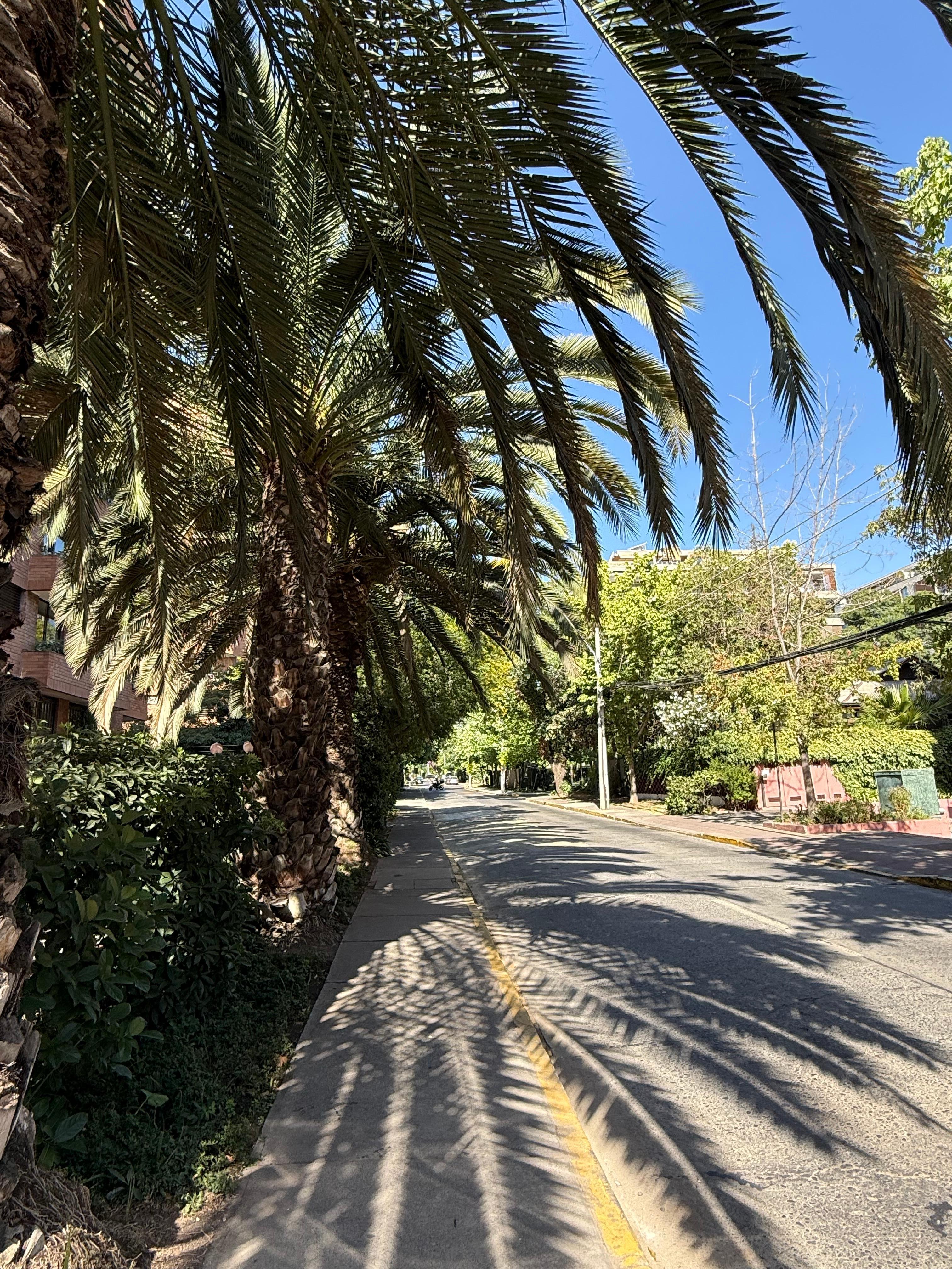Arredores