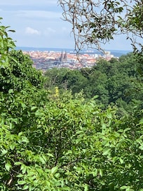 Utsikten från fönstret