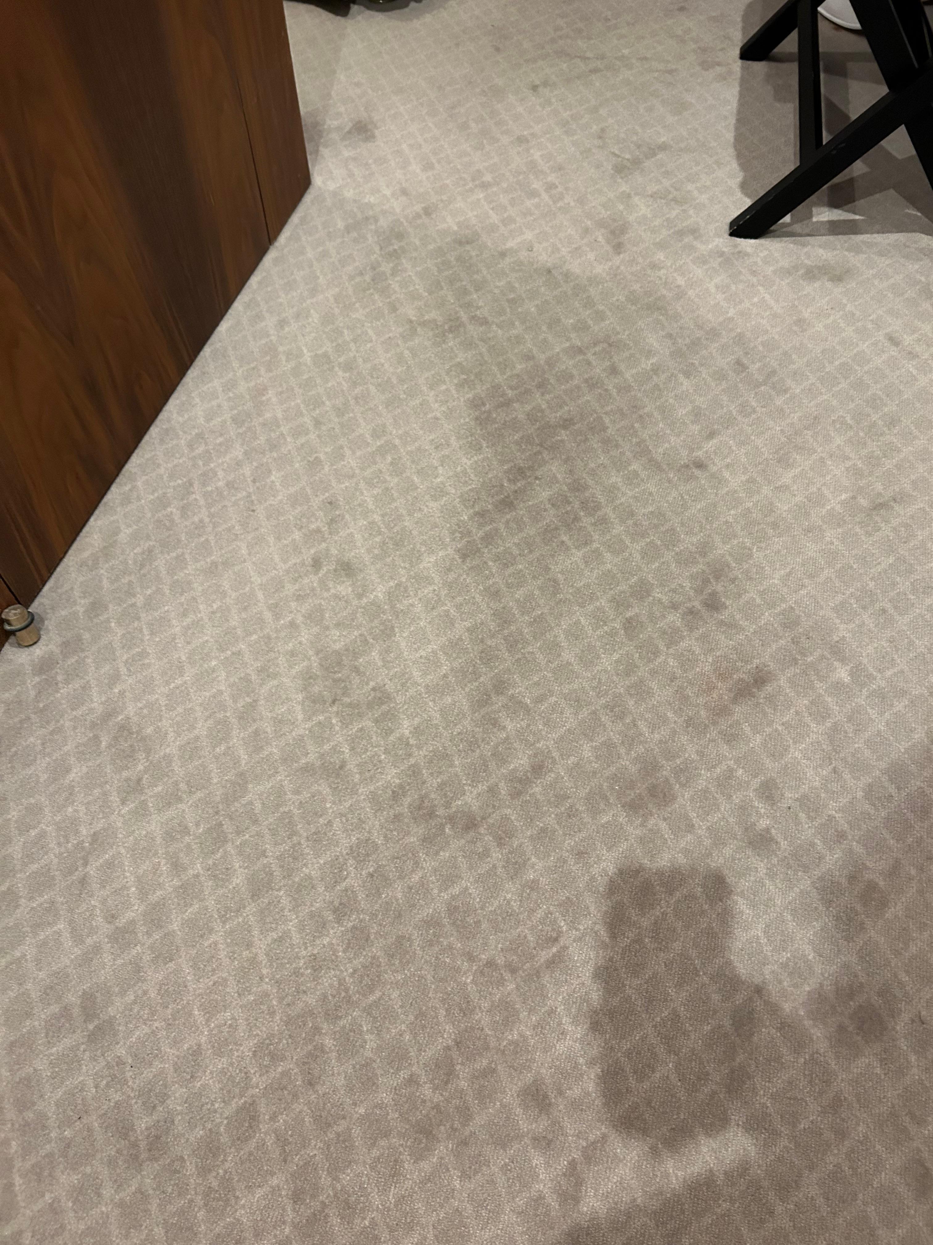 Stained carpets as soon as you walk in