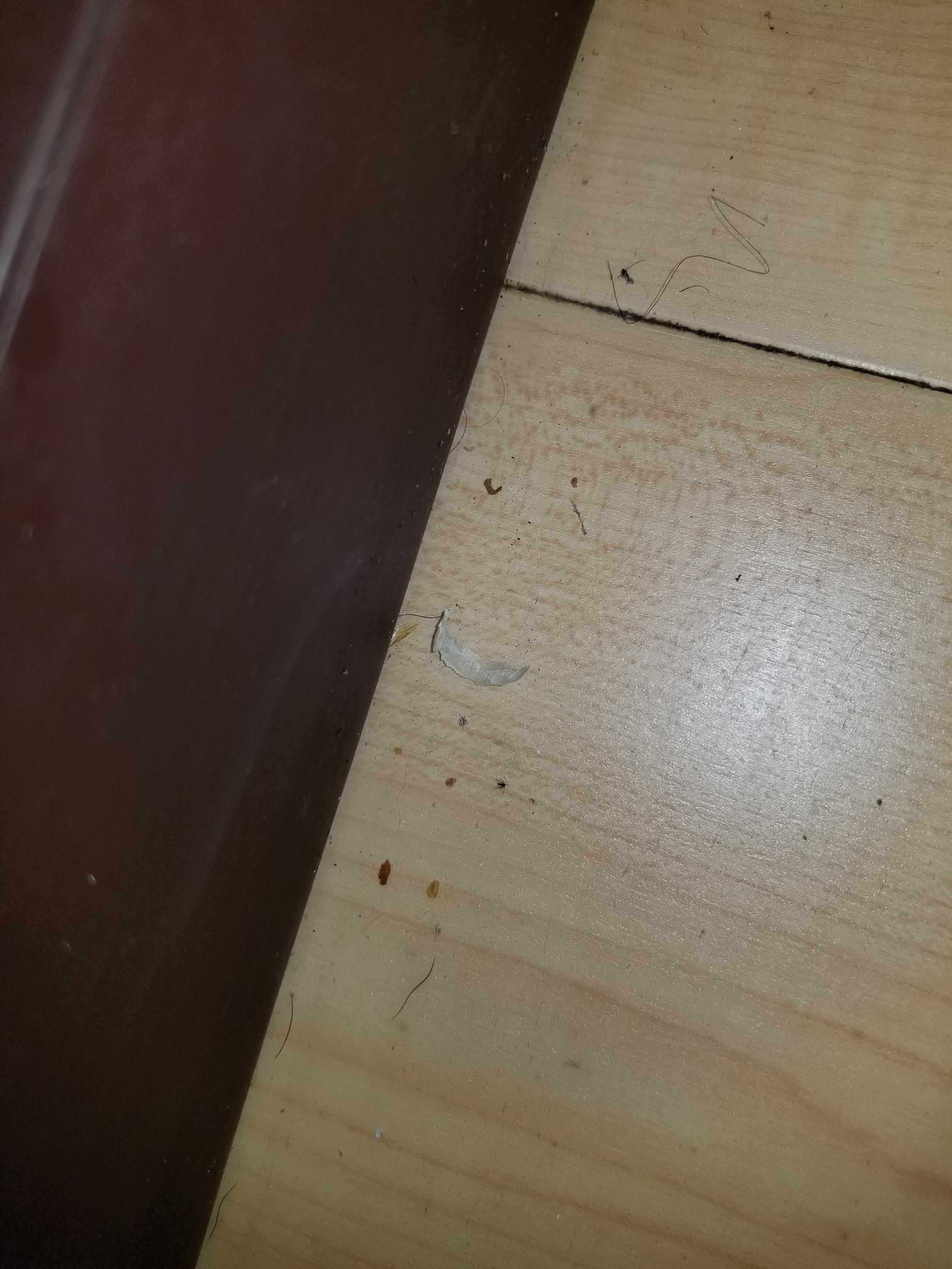 Yes a TOE NAIL! Right next to the bed