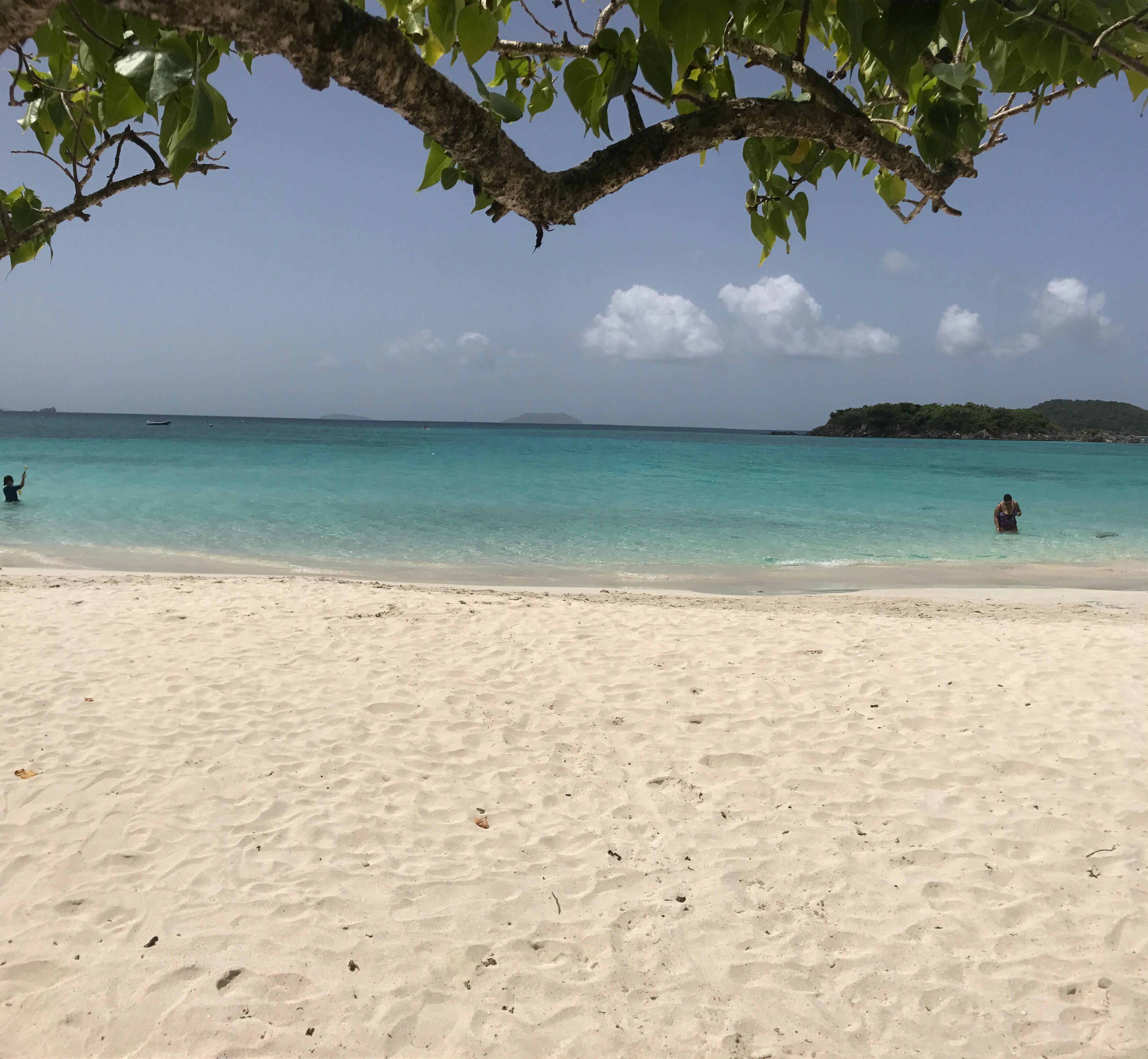 Maho bay