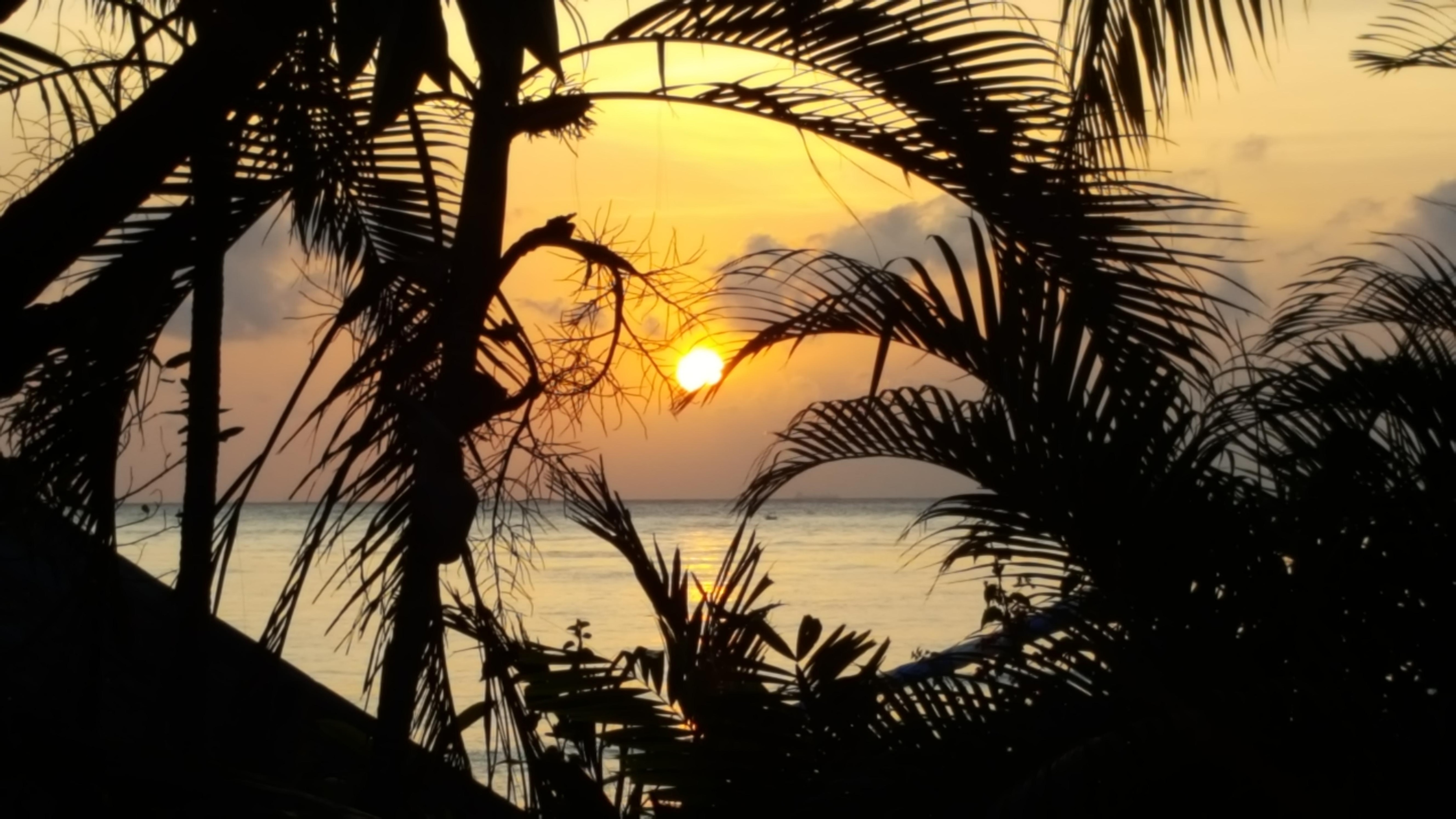 Sunrise view from our front porch