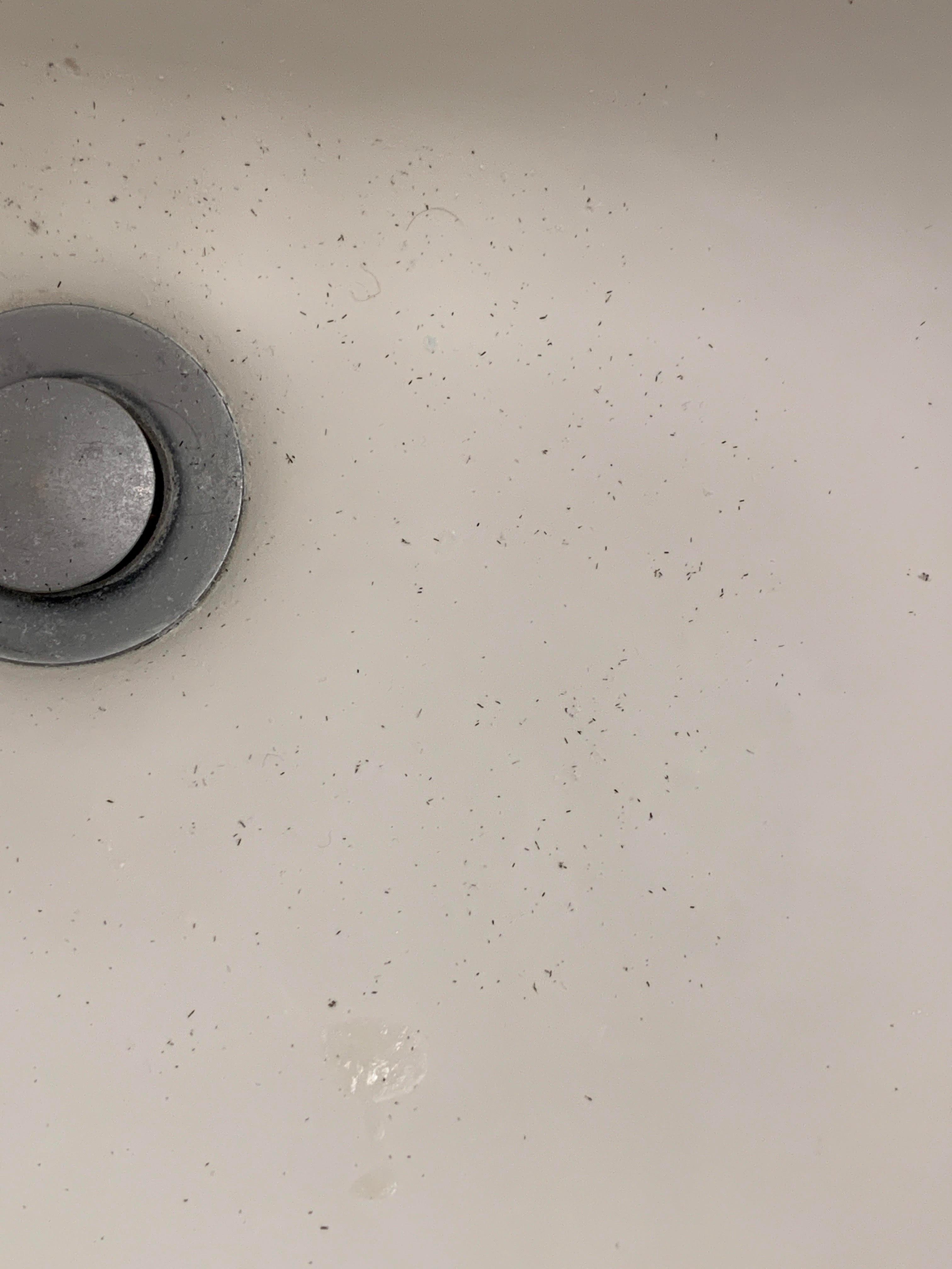 slow draining sink