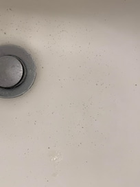 slow draining sink