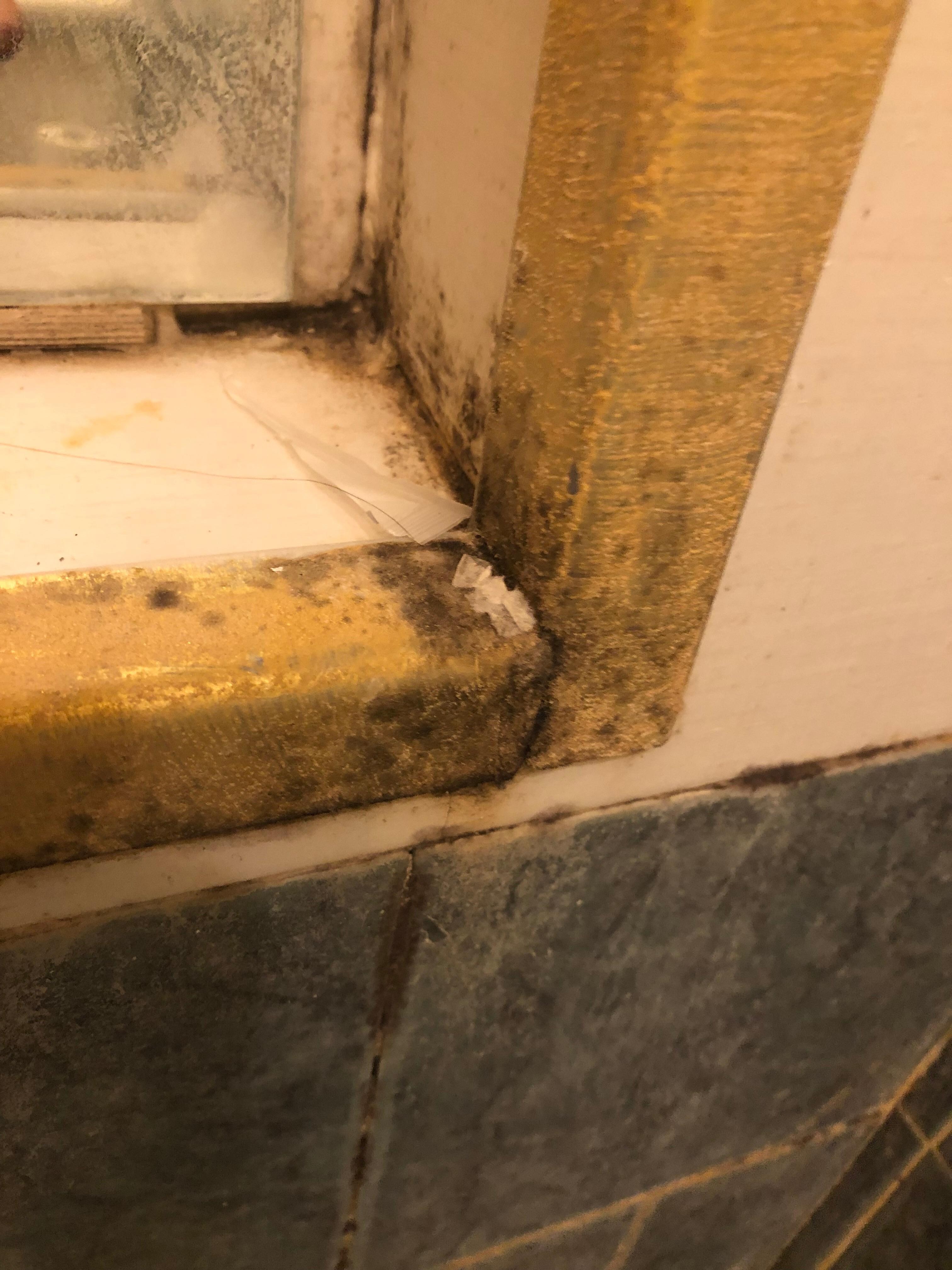 Mould in the bathroom