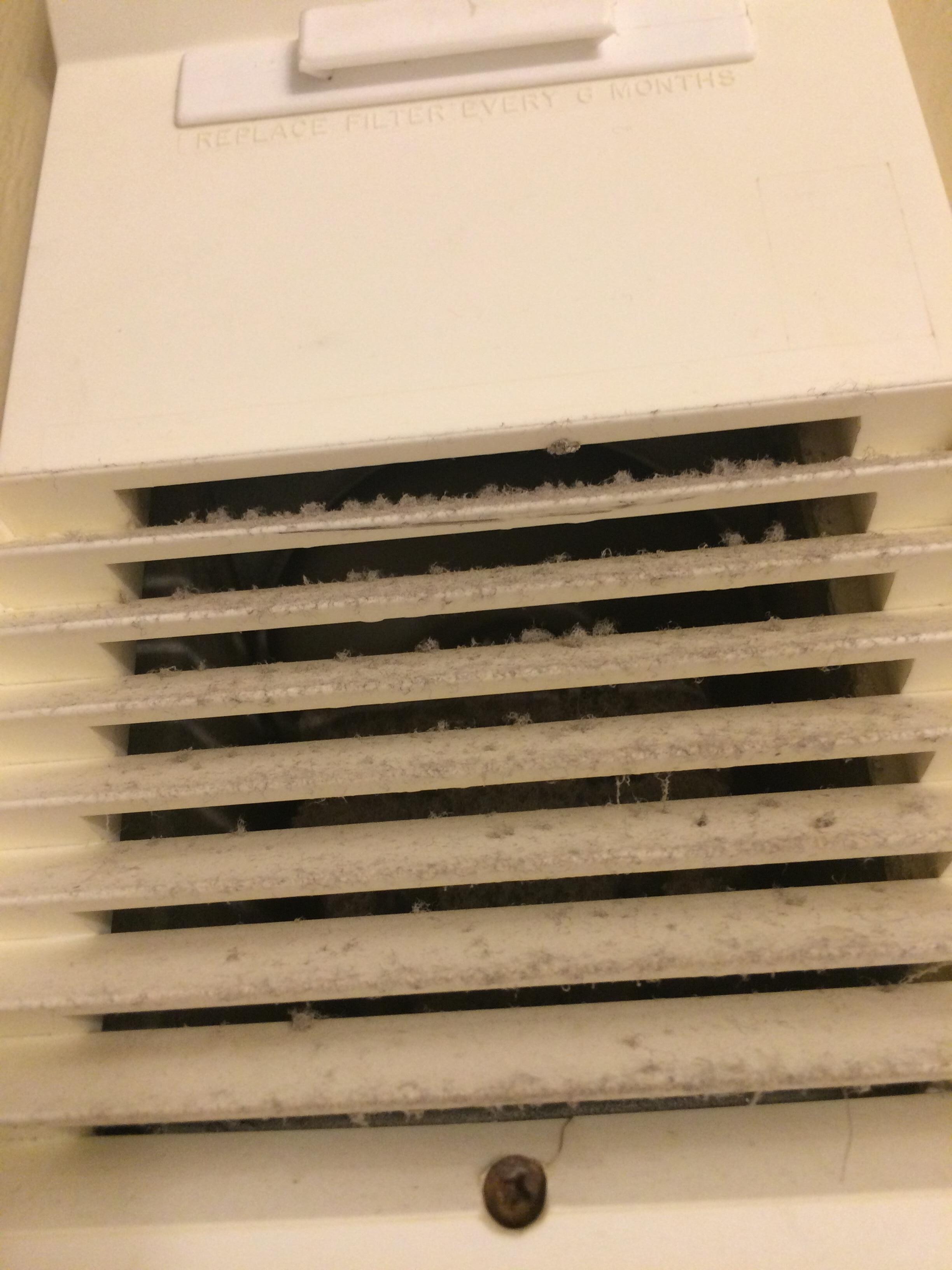 Black mold over the bathroom tub