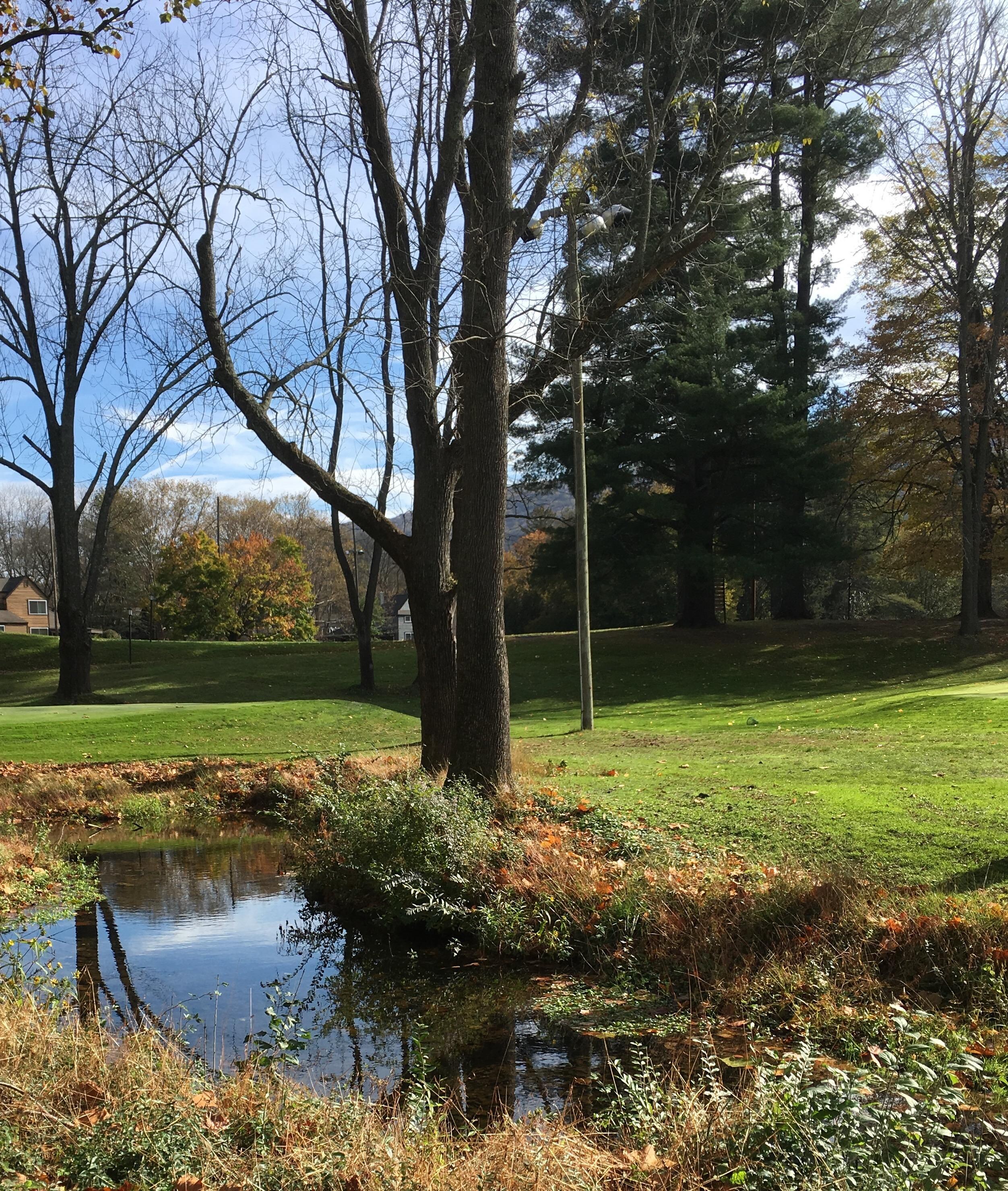 The River looking at Golf Bridge