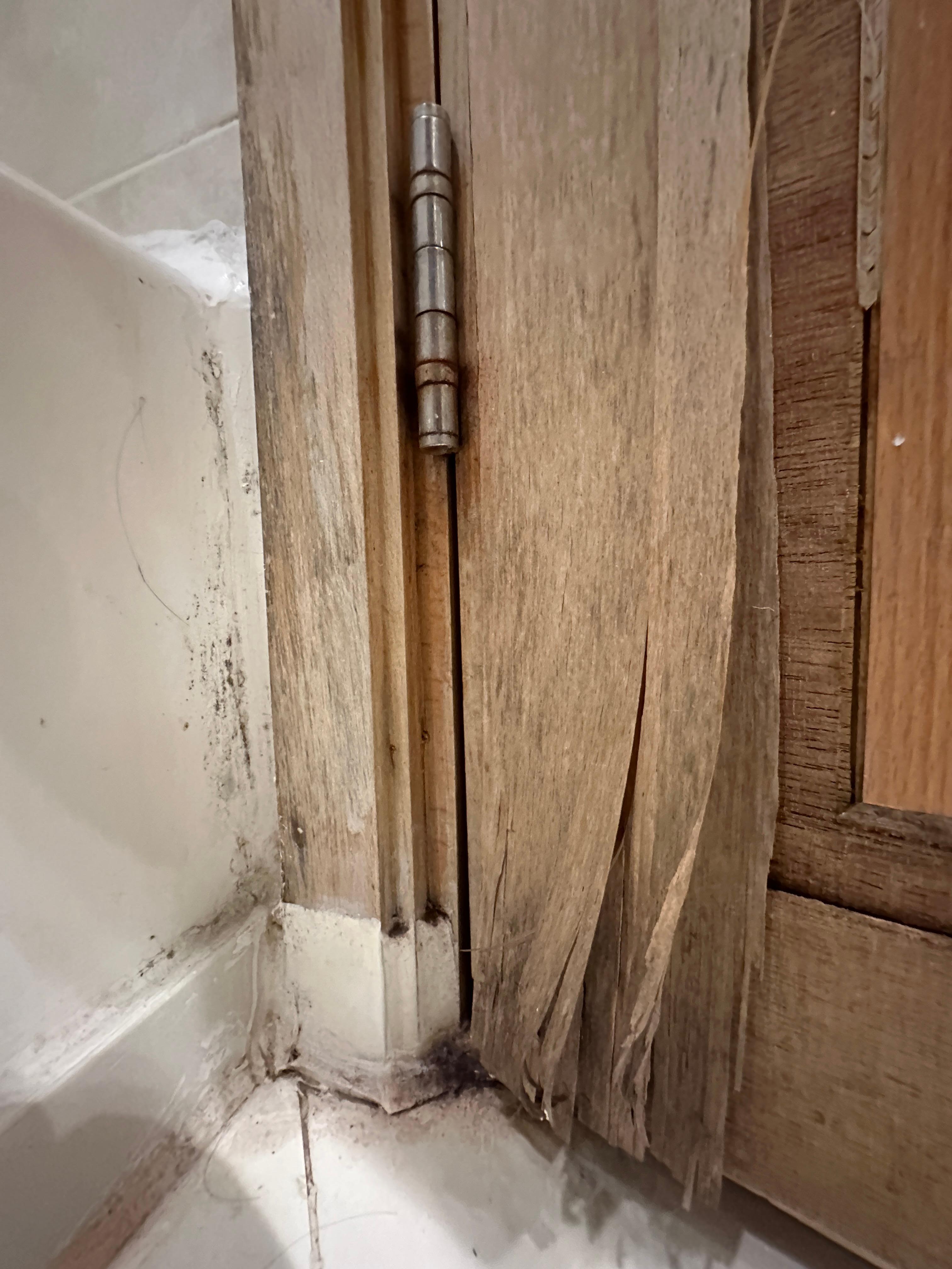 Bathroom door